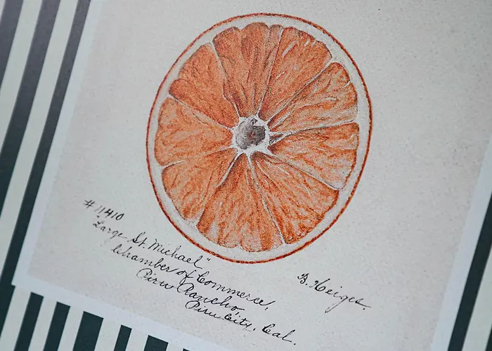 Alte Schule Klassenzimmer 6 Appartamento *